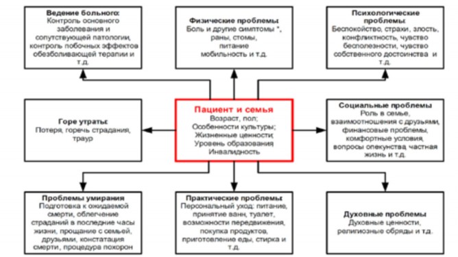 Паллиативная медицинская помощь | ОГБУЗ 